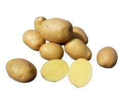 Florentina - sadbov  zemiaky 5 kg