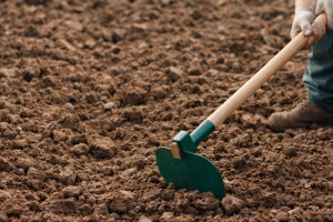 ORGANIX sadba � Z�klad �spe�nej sez�ny