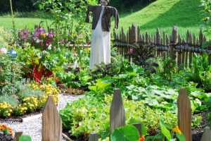 Metodika osevn�ho postupu, rastlinn�ch asoci�ci� a komplexnej diverzifik�cie z�hrady