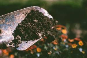 Je hnojenie na jeseň dôležité?