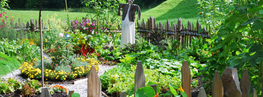 Metodika osevn�ho postupu, rastlinn�ch asoci�ci� a komplexnej diverzifik�cie z�hrady