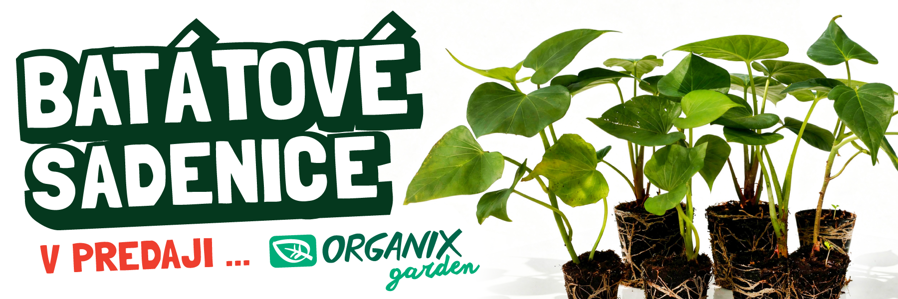 bataty-organix-garden