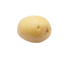 Sadbové zemiaky Colomba - minihľuzy 1 kg