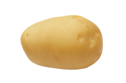 Sadbov zemiaky ADORA-Holandsk odroda 5kg