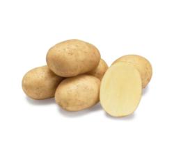 Sadbov zemiaky Arizona 5 kg