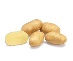 Sadbov zemiaky Babylon 5 kg