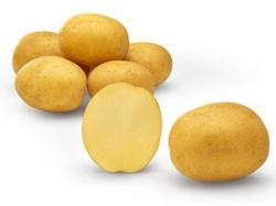  Sadbové zemiaky Pocahontas 28/40 mm - 5 kg