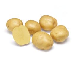 Sadbov zemiaky Twister 5 kg