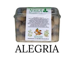 Sadbové zemiaky Alegria - minihľuzy 1,2 kg
