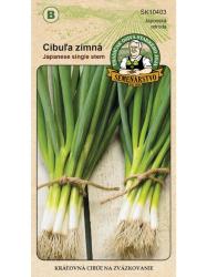 Cibu�a zimn� - Japanese single stem 3�g