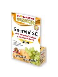 Enervin SC