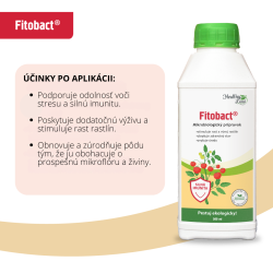inky po aplikcii prpravku Fitobact
