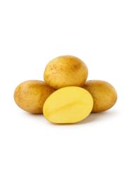 Sadbov� zemiaky Georgina