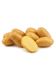 Sadbov� zemiaky Impala - �esk� sadba