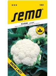 Karfiol neskor� - Snow lady 50�semien
