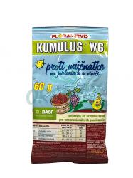 Kumulus WG 
