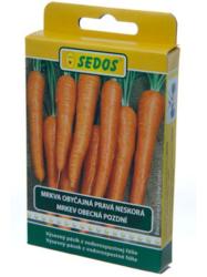 Mrkva neskor� - Rub�na 5�m