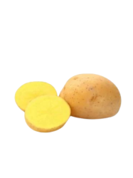 Sadbové zemiaky Otólia 5kg