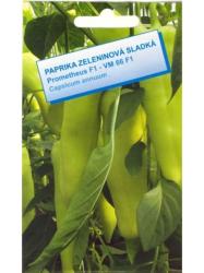 Paprika zeleninov� - Prometheus VM 66 F1 25�ks