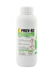 PREV-B2 