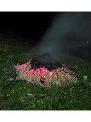 Doh�raj�ci popol po kart�novom boxe s peletami.