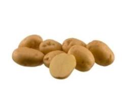 Sadbov� zemiaky Riviera - minih�uzy 2 kg