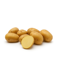 Sadbov� zemiaky Riviera - minih�uzy 2 kg