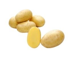 Sadbov zemiaky Campina 10 kg