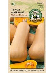 Tekvica mu�k�tov� - Waltham Butternut 3�g