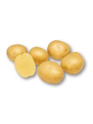 Sadbov� zemiaky Twister 5 kg