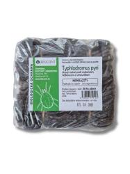 Typhlodromus pyri - Drav� rozto�