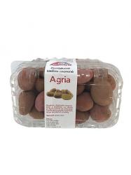 Sadbové zemiaky Agria - minihľuzy