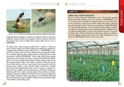 vntro knihy (strany 58 a 59)