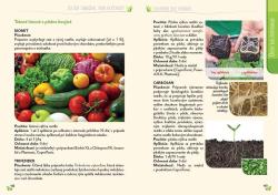 vntro knihy (strany 152 a 153)