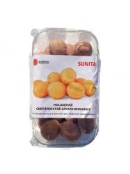 Sadbové zemiaky Sunita - minihľuzy 1,2 kg