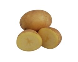 Sadbové zemiaky Alegria 5 kg
