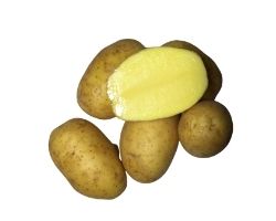 Sadbové zemiaky Wega 5 kg