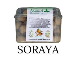 Sadbové zemiaky Soraya - minihľuzy 1,2 kg