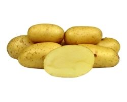 Colette - sadbové zemiaky 5 kg