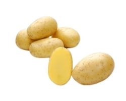 Sadbové zemiaky Campina 10 kg