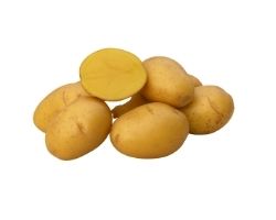  Sadbové zemiaky Megan 
