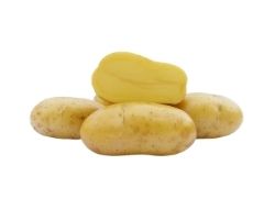 Malvína - sadbové  zemiaky 5 kg