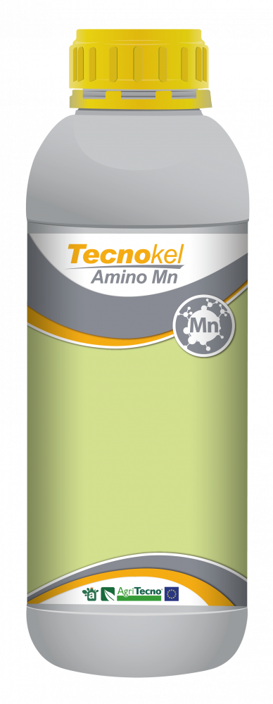 Tecnokel Amino Mn 1 l