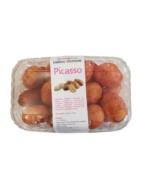Sadbové zemiaky Picasso - minihľuzy 1,2 kg