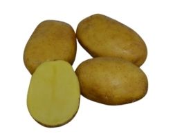 Sadbové  zemiaky Paroli 5 kg