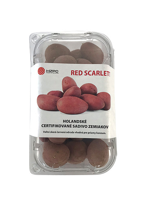 Sadbové zemiaky Red Scarlett - minihľuzy 1 kg