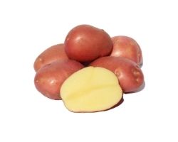 Sadbové zemiaky Bellarosa