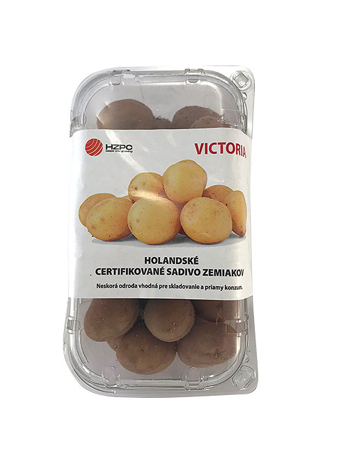 Sadbové zemiaky Victoria - minihľuzy 1 kg