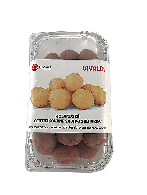 Sadbové zemiaky Vivaldi -  minihľuzy 1 kg